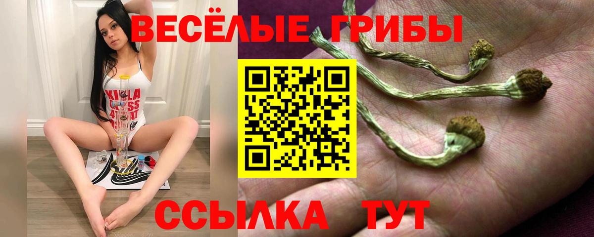 Псилоцибиновые грибы ЛСД Хасавюрт